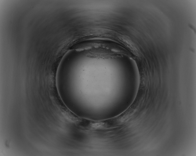 X0000093210461200709261600