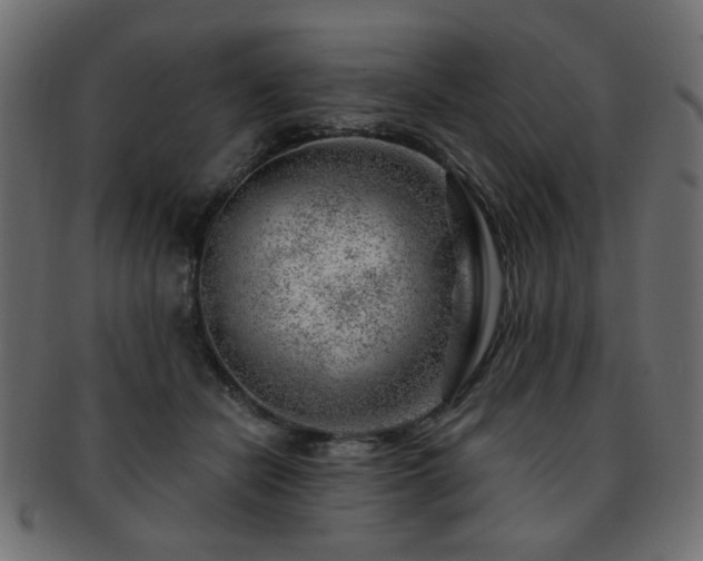 X0000093210462200709261600