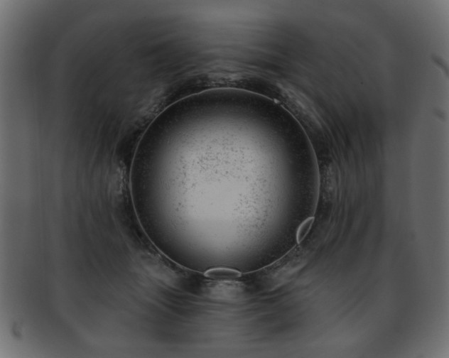 X0000093210463200709261600