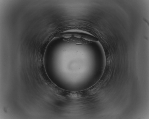X0000093210464200709261600