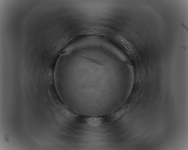 X0000093210465200709261600