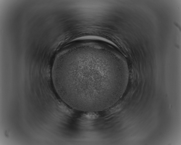 X0000093210466200709261600