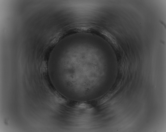 X0000093210467200709261600