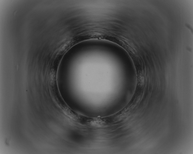 X0000093210468200709261600
