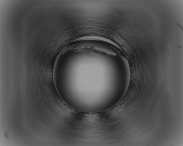 X0000093210469200709261600