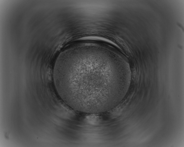 X0000093210470200709261600