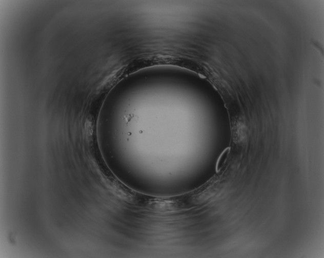 X0000093210472200709261600