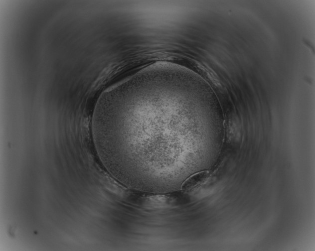 X0000093210473200709261600