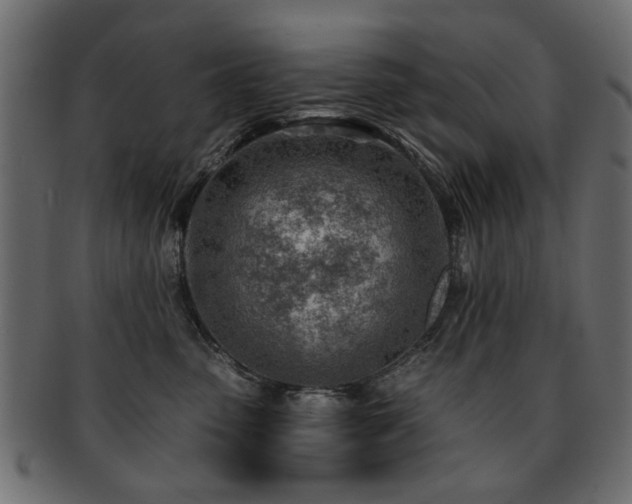 X0000093210475200709261600