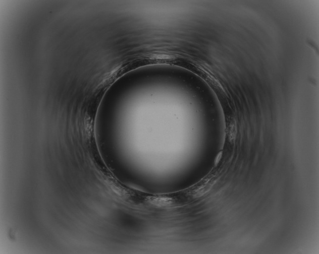 X0000093210476200709261600