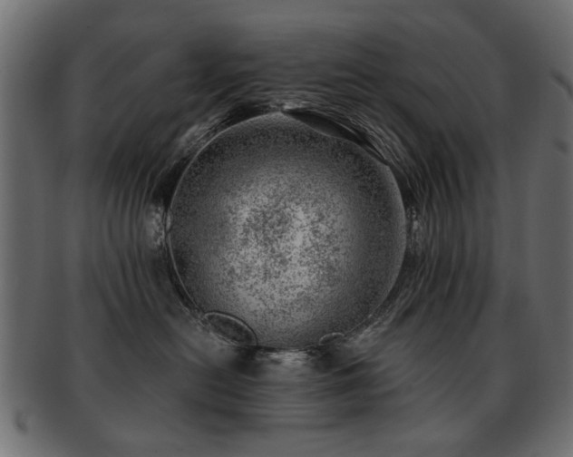 X0000093210478200709261600