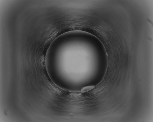 X0000093210480200709261600