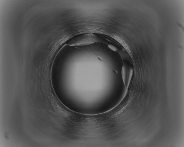 X0000093210481200709261559