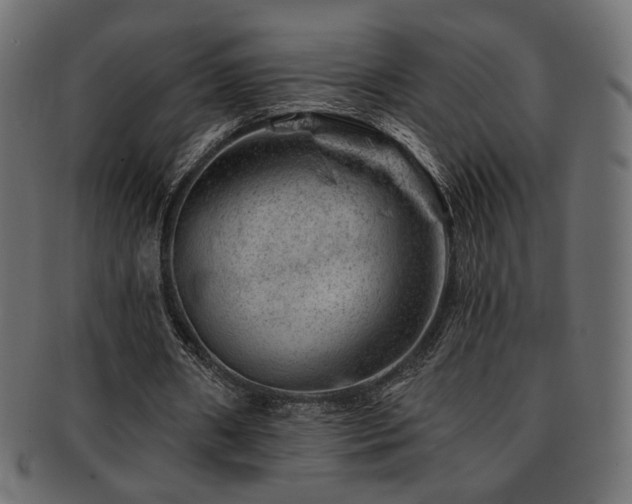 X0000093210482200709261559