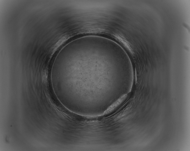 X0000093210483200709261559
