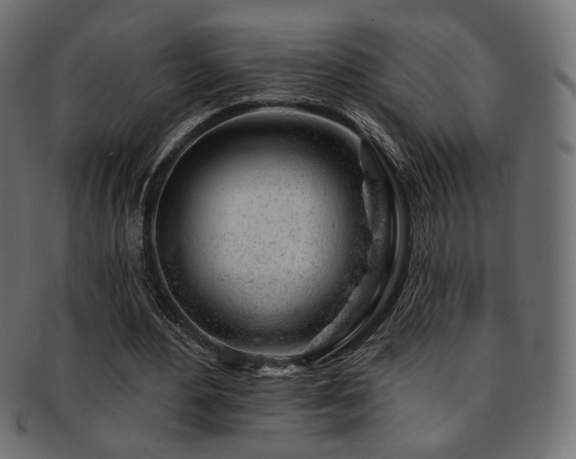 X0000093210484200709261559