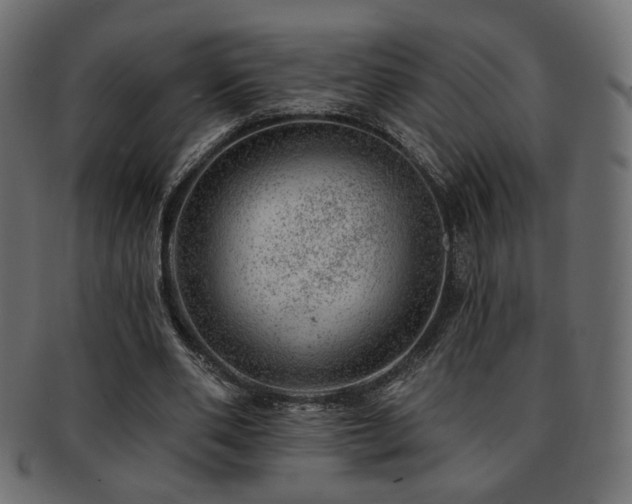 X0000093210486200709261559