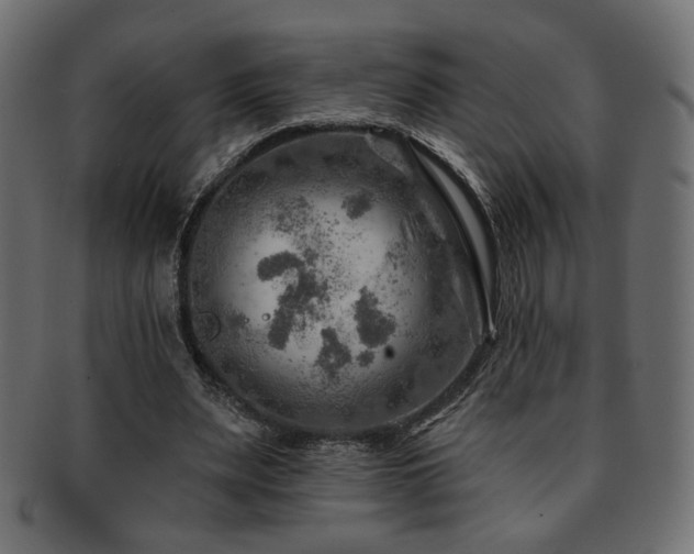 X0000093210487200709261559