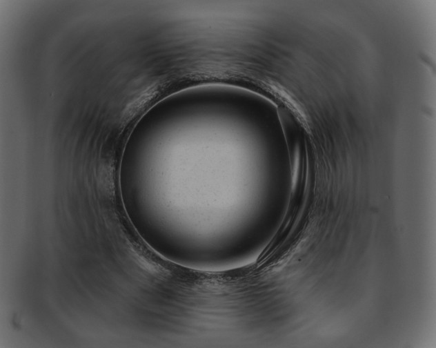 X0000093210489200709261559
