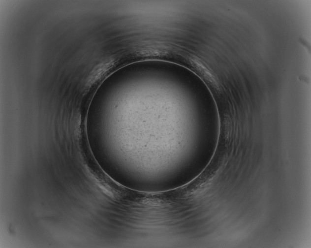 X0000093210490200709261559