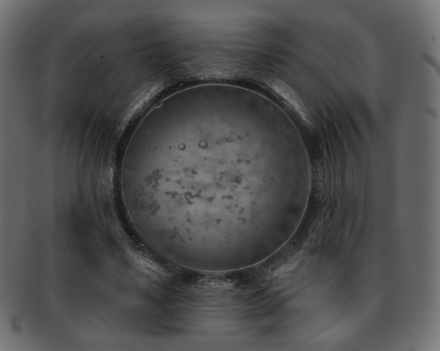 X0000093210491200709261559