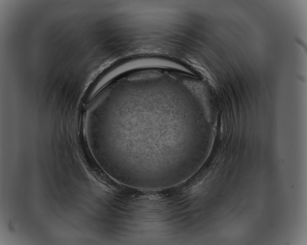 X0000093210492200709261559