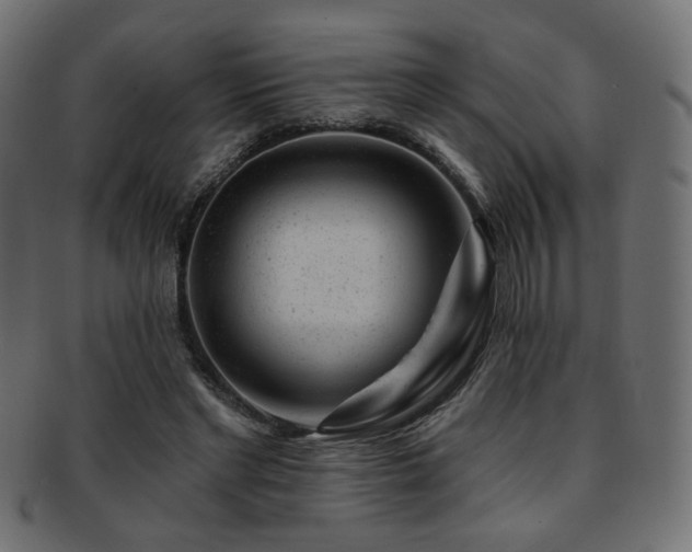 X0000093210493200709261559