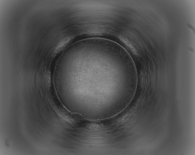 X0000093210494200709261559