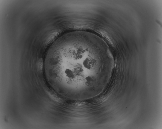 X0000093210495200709261559