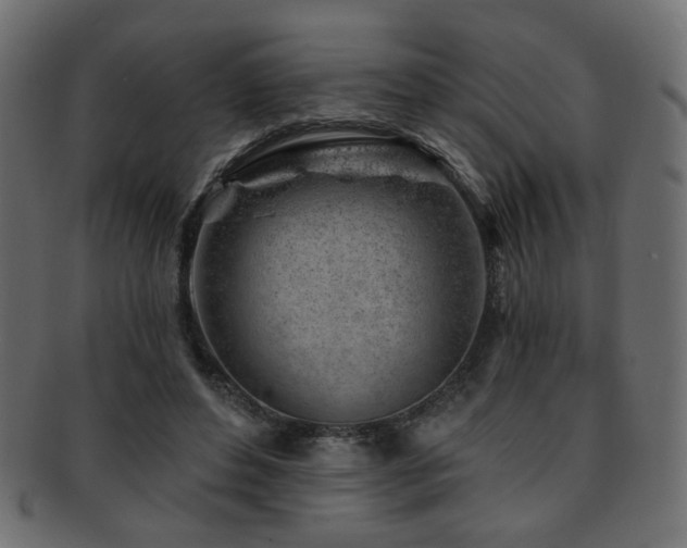 X0000093210496200709261559