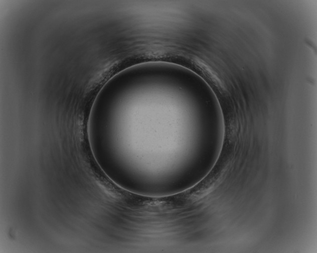 X0000093210497200709261559