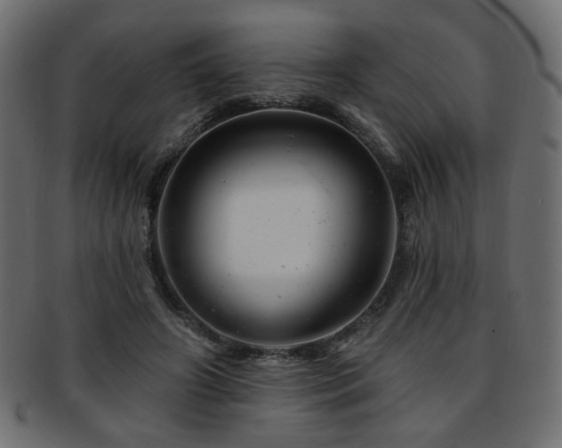 X0000093210498200709261559