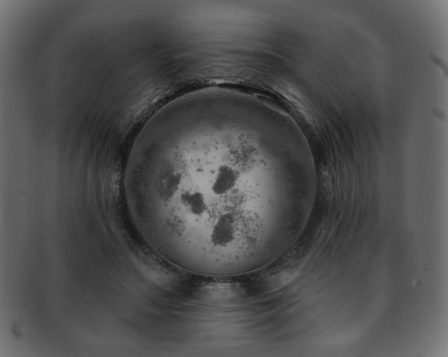 X0000093210499200709261559