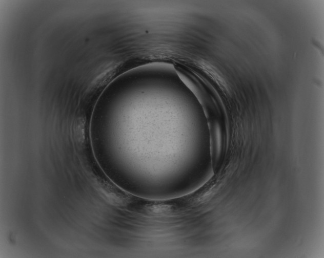 X0000093210501200709261559