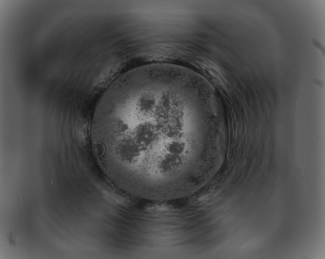 X0000093210503200709261559
