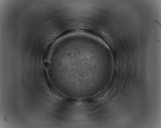 X0000093210504200709261559