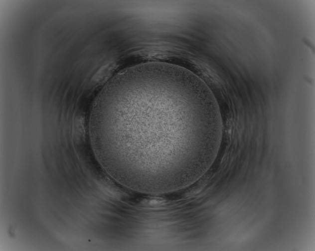 X0000093210506200709261559