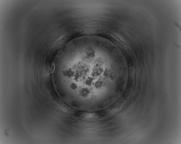 X0000093210507200709261559