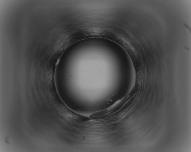 X0000093210509200709261559