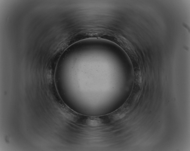 X0000093210510200709261559