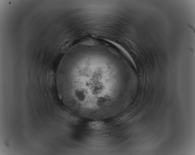 X0000093210511200709261559