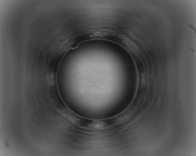 X0000093210514200709261559