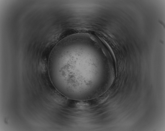 X0000093210515200709261559