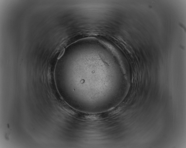 X0000093210516200709261559
