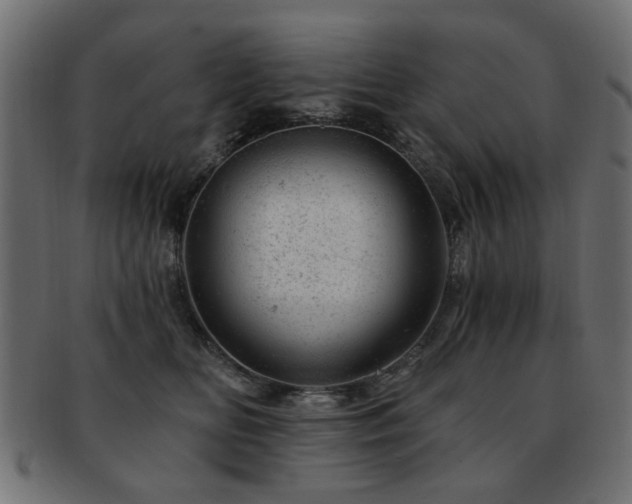 X0000093210518200709261559