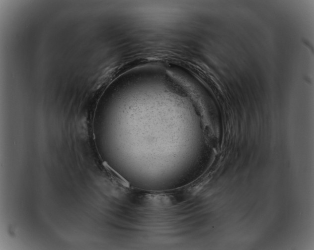 X0000093210520200709261559