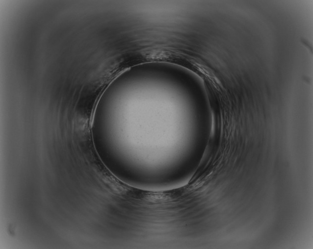 X0000093210521200709261559