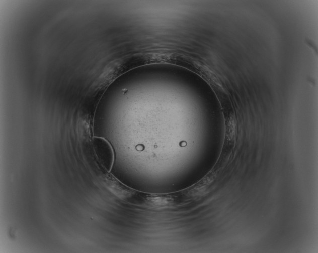 X0000093210522200709261559