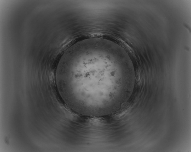 X0000093210523200709261559