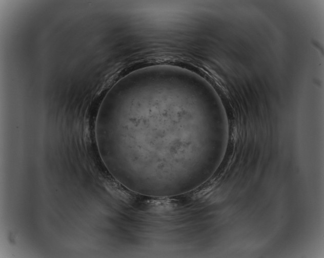 X0000093210524200709261559